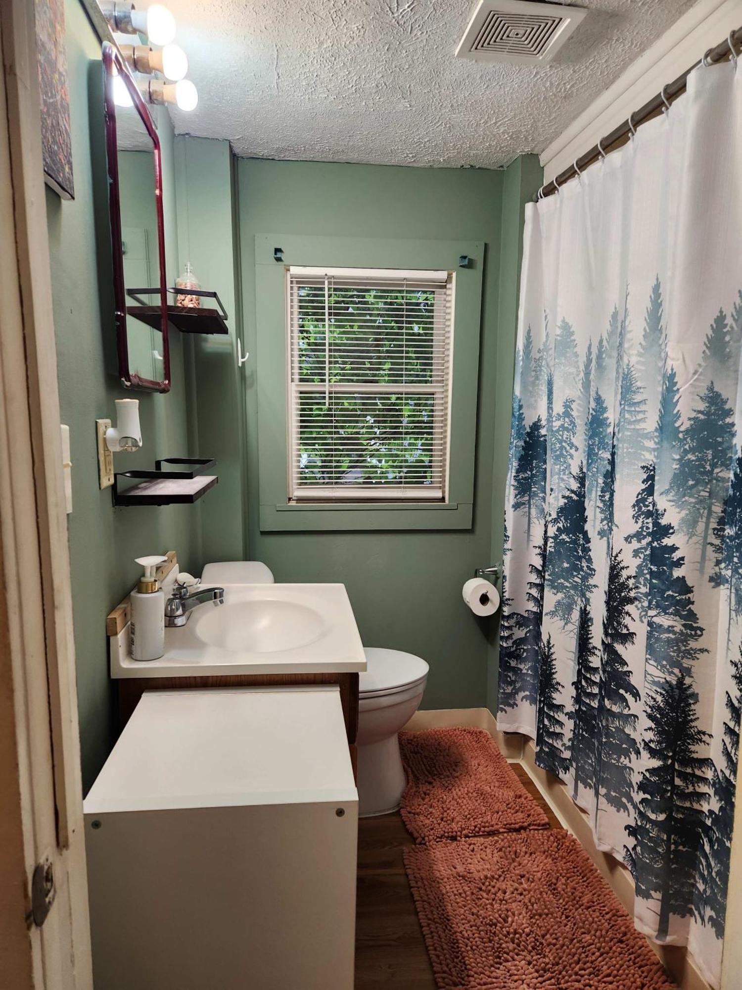 Cozy 3 Bedroom House In Downtown Ithaca Exteriér fotografie